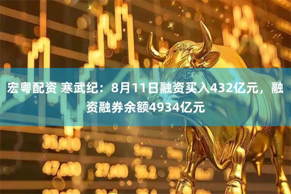 宏粤配资 寒武纪：8月11日融资买入432亿元，融资融券余额4934亿元