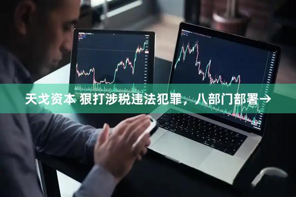 天戈资本 狠打涉税违法犯罪，八部门部署→
