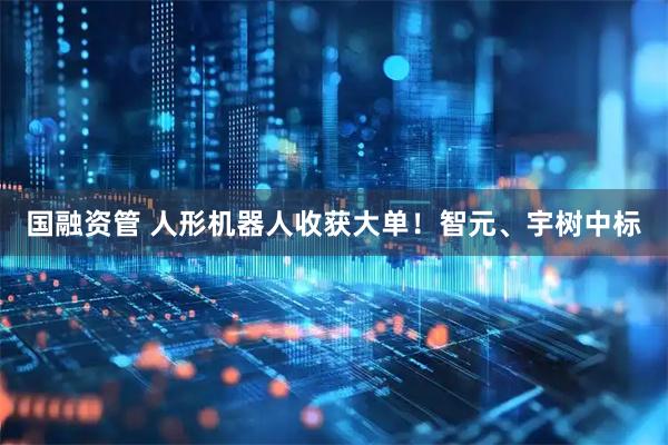 国融资管 人形机器人收获大单！智元、宇树中标
