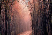 股票投资有什么技巧:深圳十大配资公司-工业母机赛道利好来袭 上半年净利润规模居前的概念股名单出炉